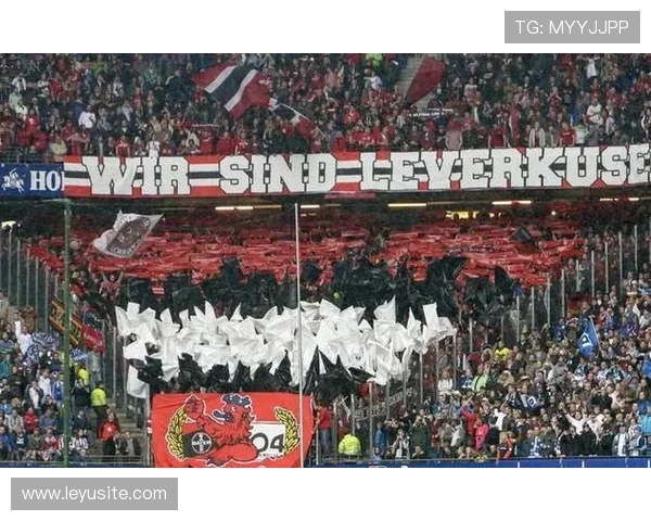 勒沃库森与汉堡的德甲比赛因大雪在开赛前3小时紧急取消